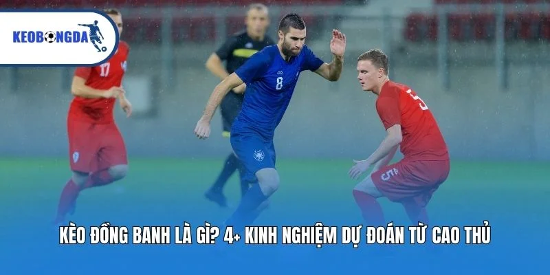 Kèo Đồng Banh Là Gì? 4+ Kinh Nghiệm Dự Đoán Từ Cao Thủ