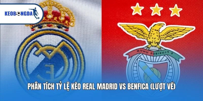 Phân Tích Tỷ Lệ Kèo Real Madrid Vs Benfica (Lượt Về)