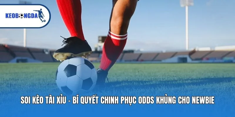 Soi Kèo Tài Xỉu - Bí Quyết Chinh Phục Odds Khủng Cho Newbie