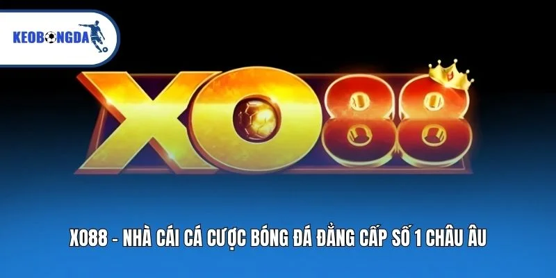 Xo88 - Nhà Cái Cá Cược Bóng Đá Đẳng Cấp Số 1 Châu Âu